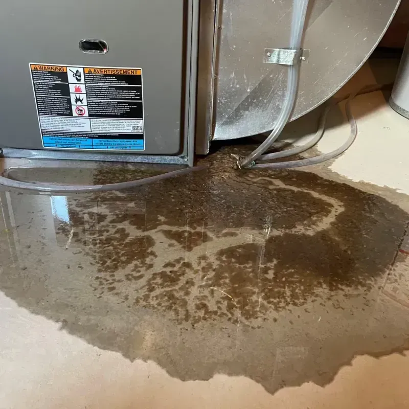 Appliance Leak Cleanup in Portage, IN